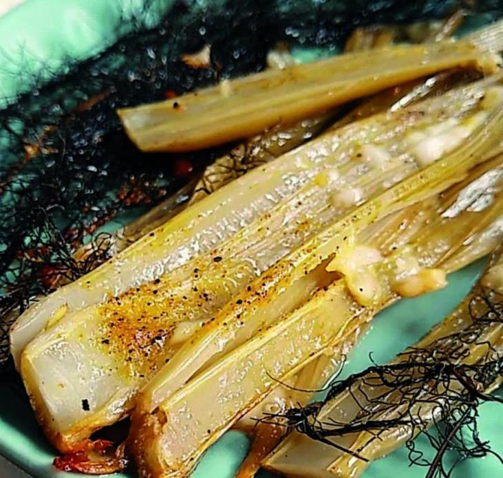 Bulbo de erva-doce com parmesão e queijo minas frescal