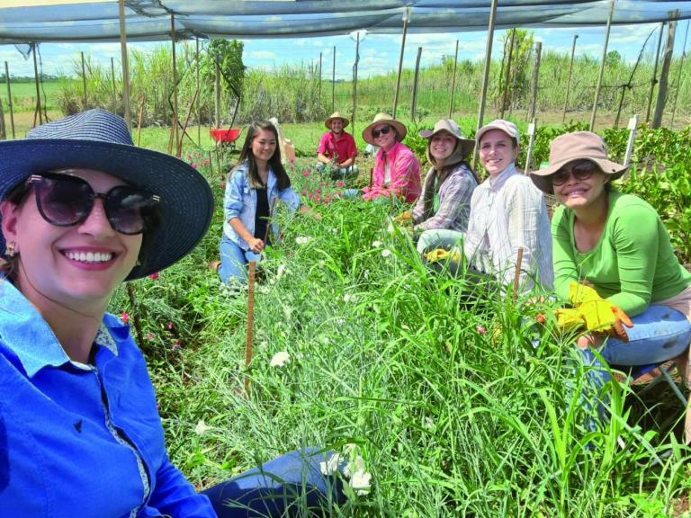 Grupo de Estudos da Unioeste/Marechal Rondon cultiva 20 espécies de flores