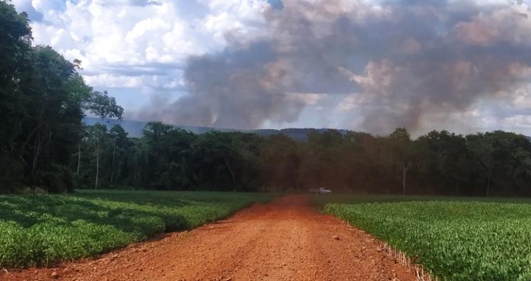Incêndio de grandes proporções atinge mata ciliar no interior de Mercedes