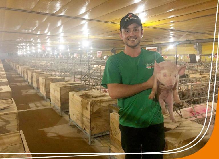 Cooperado de Marechal Cândido Rondon trilha caminho de sucesso na suinocultura com apoio da Cresol