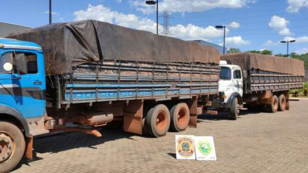 Policias fazem mais uma apreensão milionária de cigarros na fronteira