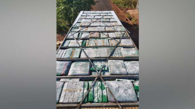 Polícia Civil apreende 864kg de maconha e prende homem em Foz do Iguaçu