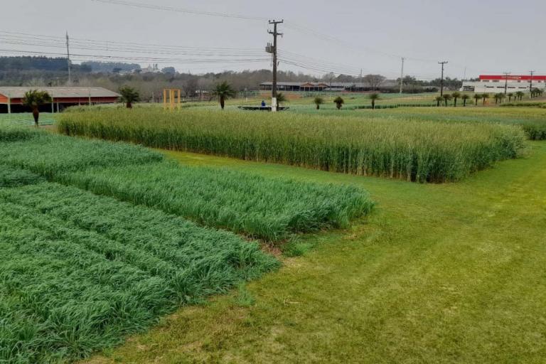 IDR-Paraná fecha 2021 com quase 90 mil atendimentos e consolida presença no meio rural