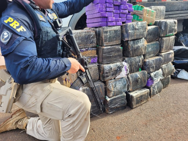 Apreensões de maconha em estradas federais do Paraná cresceram 52%, aponta levantamento