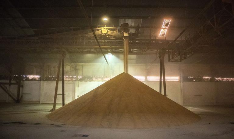 Ipea prevê cenário positivo para a produção agrícola em 2022