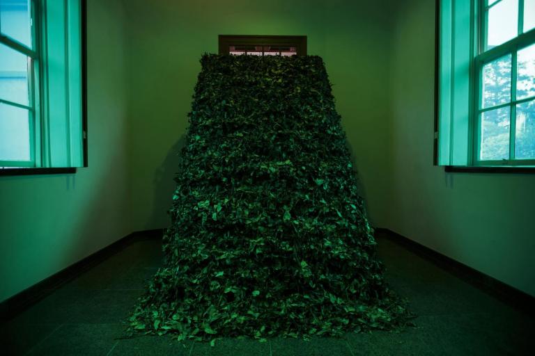 Legado da erva-mate no Estado inspira parcerias entre museus do Paraná