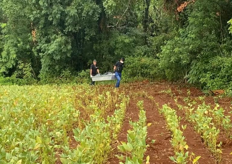 Corpo de mulher morta a marteladas é encontrado após marido da vítima confessar o crime, diz polícia