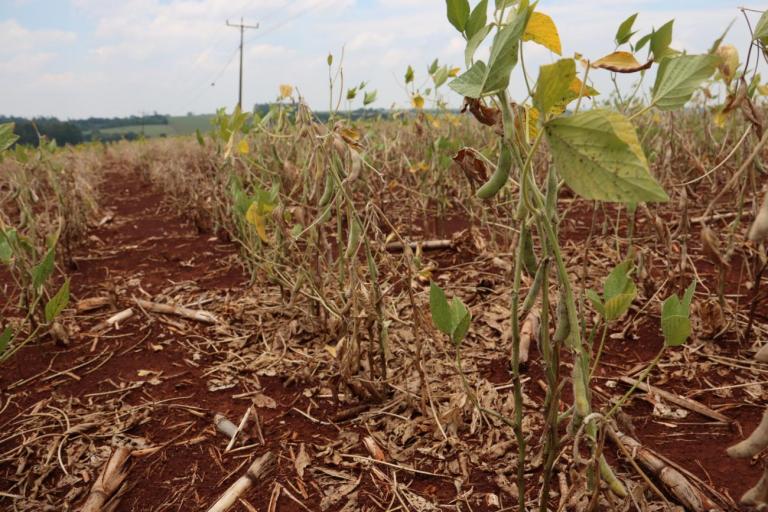 Decretada situação de emergência em Maripá em virtude da crise hídrica