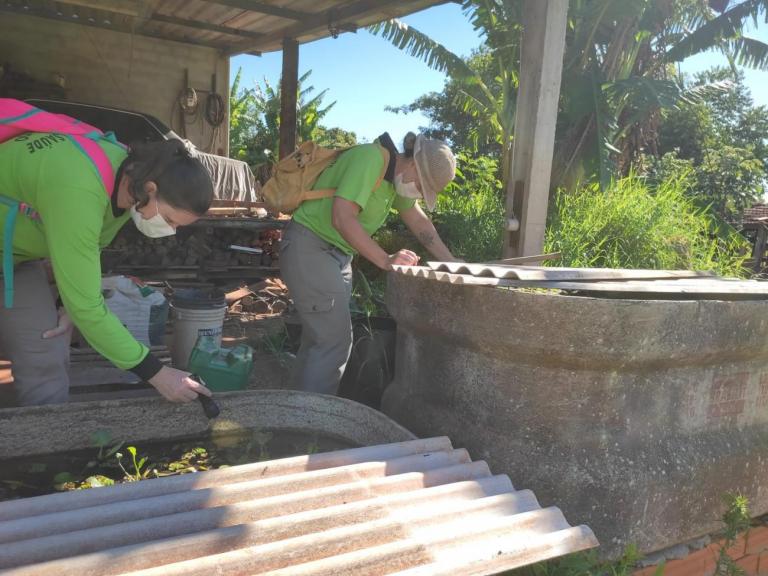 Pato Bragado registra alto índice de infestação de Aedes aegypti