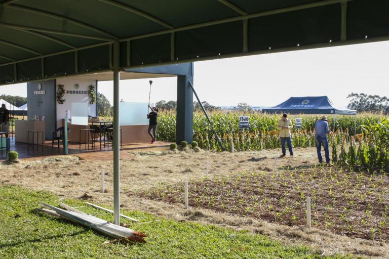 Copagril trabalha nos últimos detalhes para o Dia de Campo 2022; programação será aberta nesta quarta-feira