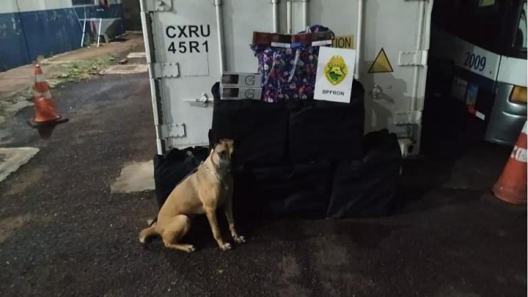 Cigarros contrabandeados são apreendidos em ônibus na Rodoviária de Cascavel
