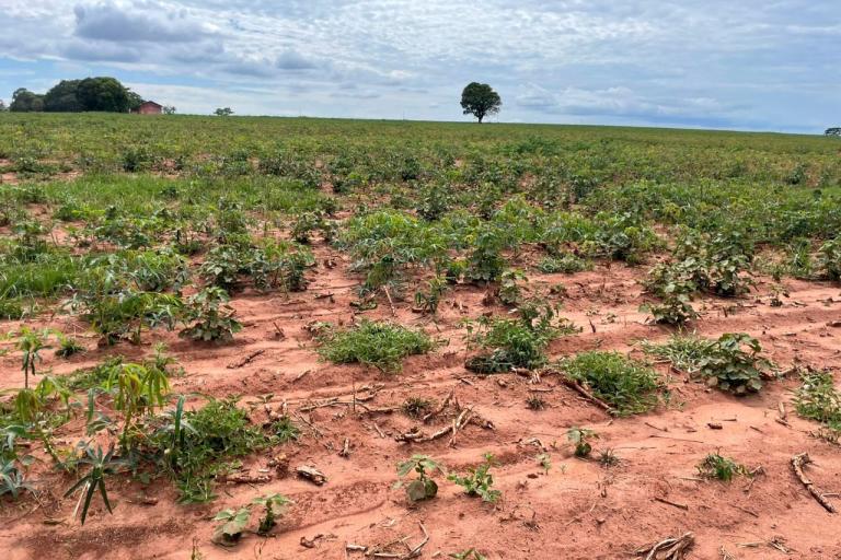 Defesa Civil inicia 2022 com ações distintas em duas frentes: estiagem e alagamentos