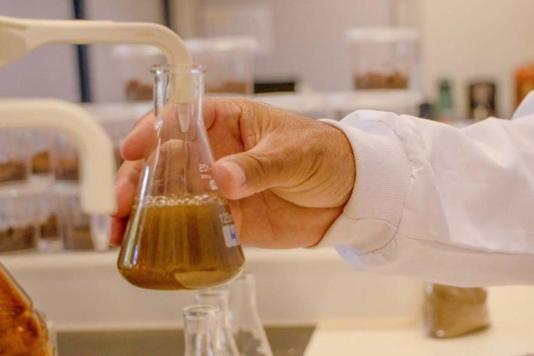 De Agronomia a Design: Universidades Estaduais abrem inscrições em programas de pós-graduação