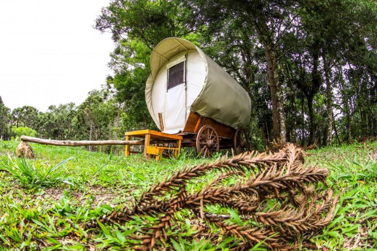 Café da manhã em parreiral e uma noite na carroça? Veja opções de experiências memoráveis na Região Metropolitana de Curitiba