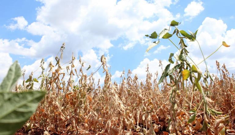 Marechal Rondon decreta situação de emergência devido à estiagem