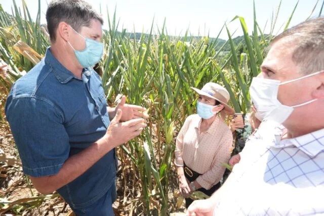 Tereza Cristina diz que visitas buscam minimizar perdas nas lavouras