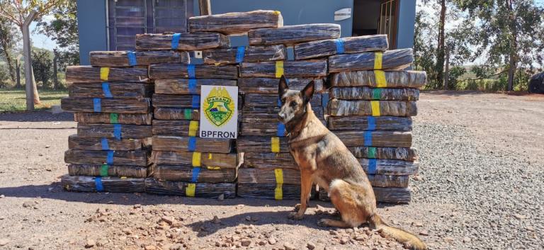 BPFron apreende 402 quilos de maconha em Santa Helena