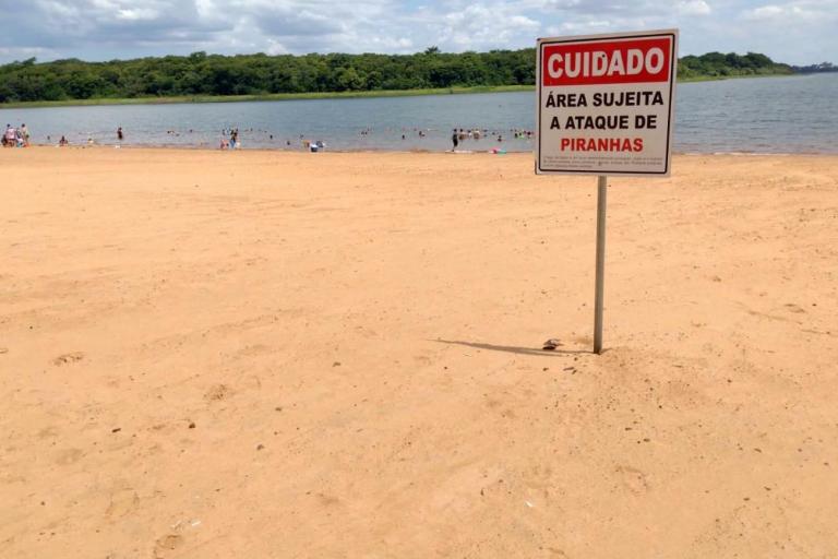 Em 40 dias, 28 pessoas são atacadas por piranhas nas praias da Costa Oeste