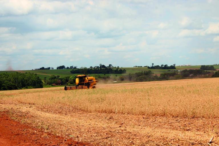 União reconhece situação de emergência em Nova Santa Rosa