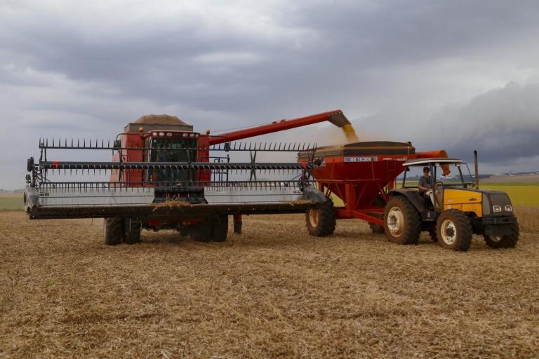 Com estiagem, previsão de safra da Agricultura aponta redução de 39% no potencial da soja