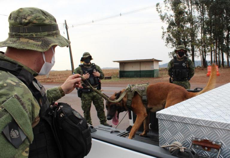 48% da droga apreendida pelo BPFron em 2021 teve participação de cães