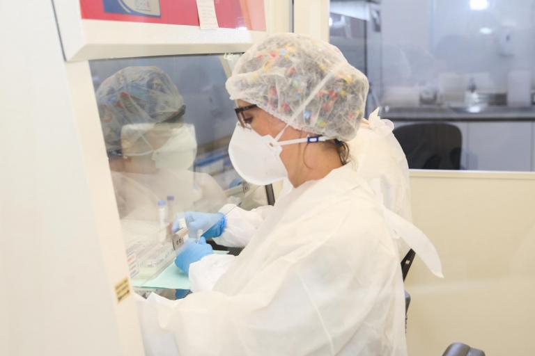 Municípios do Oeste registram casos de Influenza H3N2; transmissão já é considerada comunitária no Estado