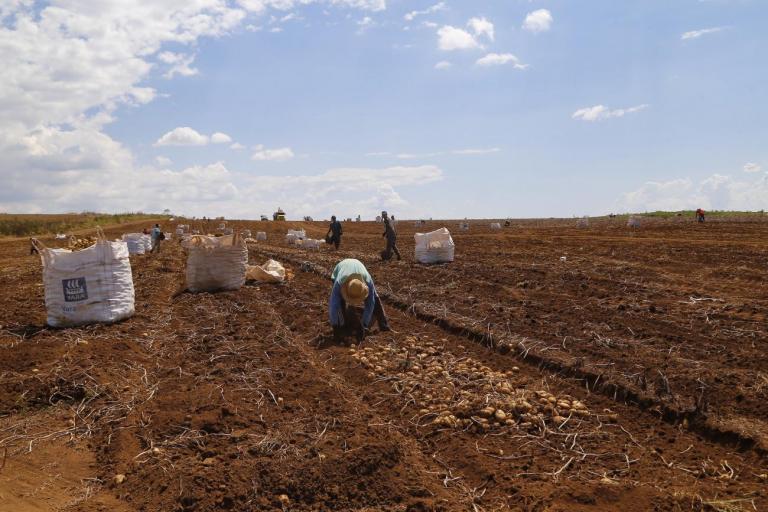 De R$ 1.617,00 a R$ 1.870,00: Paraná terá maior salário mínimo do país em 2022
