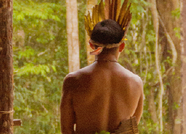 Suicídios entre indígenas no interior do Paraná gera alerta; foram 11 casos em 2021