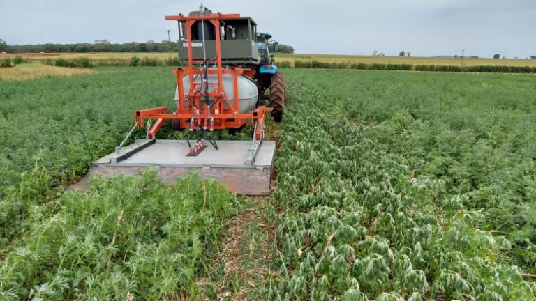 Pesquisadores da Unioeste de Marechal Rondon desenvolvem protótipo de máquina de capina a vapor