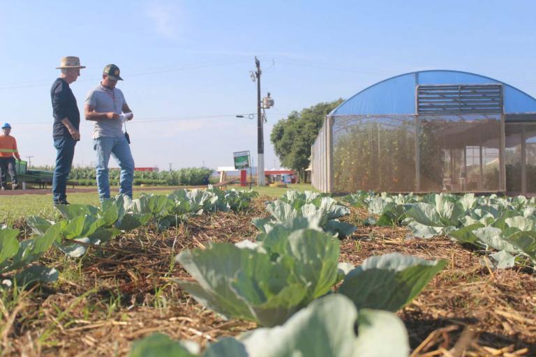 IDR-Paraná terá maior área e mais de 100 profissionais no Show Rural 2022, em Cascavel