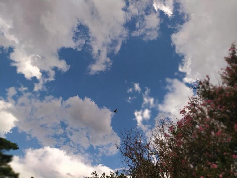 Marechal tem previsão de tempo estável nesta terça-feira; Paraná pode registrar chuvas localizadas e temporais