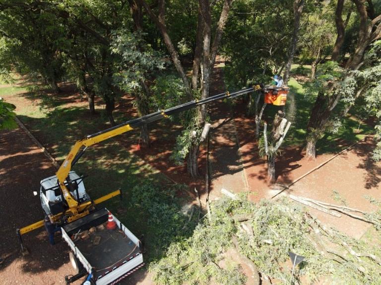 Agricultura de Marechal Rondon realiza poda de árvores e limpeza em Iguiporã
