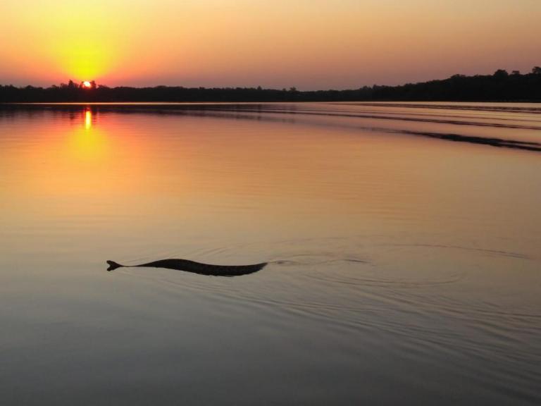 Cobra cascavel “participa” da pescaria de rondonenses no lago