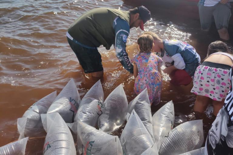 Em apoio a Desafio de Pesca, governo promove soltura de 105 mil peixes nativos no Rio Paraná