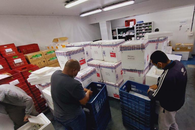 Paraná recebe mais 914 mil vacinas contra a Covid-19 e outras 294 mil devem chegar ainda nesta quinta