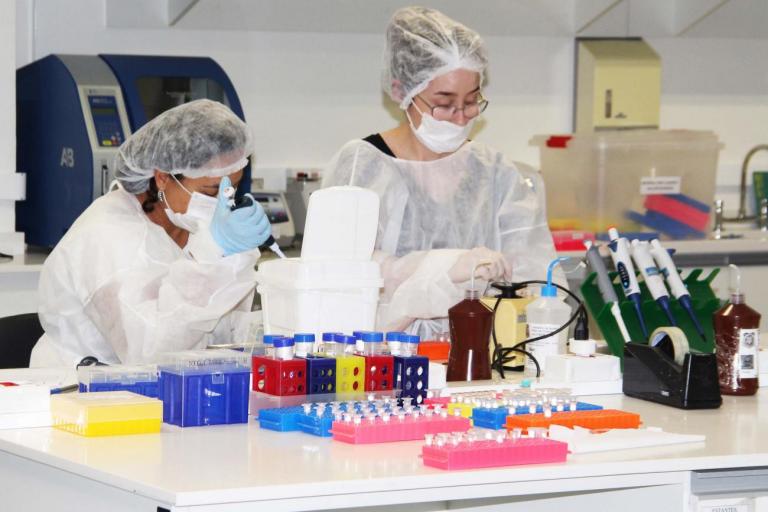 Paraná é destaque nacional no número de investigações a partir de seu banco de perfis genéticos