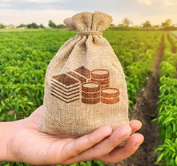 Agronegócio cobra mais R$ 3 bilhões para crédito rural