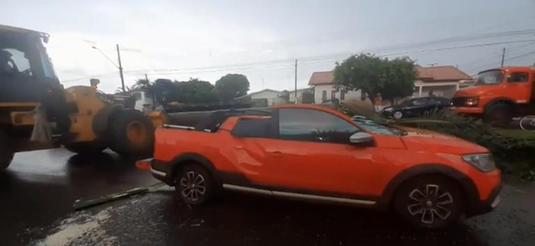 Mulher fica ferida após árvore cair e atingir carro onde ela estava