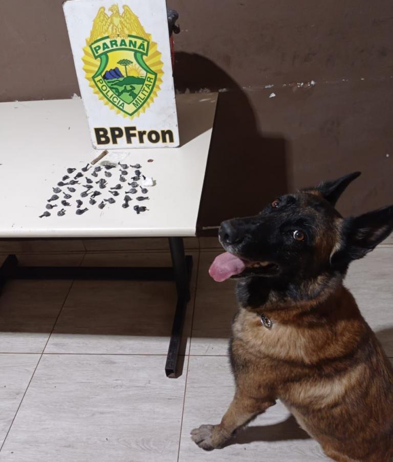 BPFron apreende drogas e encaminha seis elementos à delegacia em Foz do Iguaçu