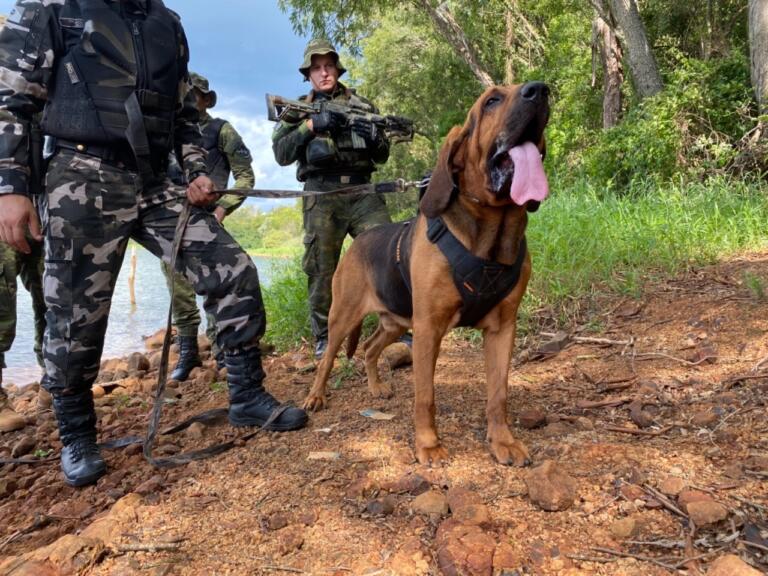Encontro Técnico de Operações com Cães é realizado pelo BPFron em Marechal Rondon