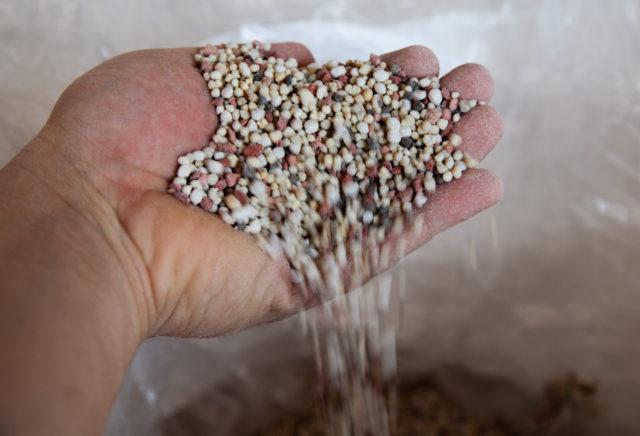 Plano Nacional de Fertilizantes será lançado ainda este mês, diz ministra da Agricultura