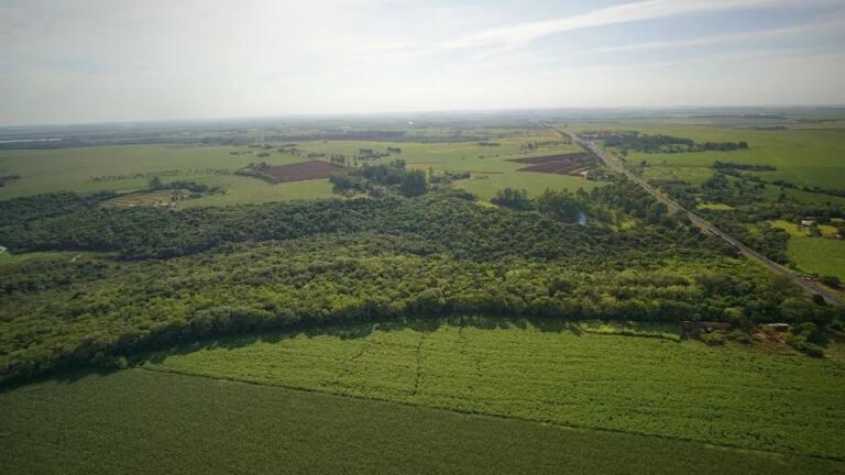 Itaipu, Instituto LIFE e PTI testam padrão de sustentabilidade em territórios do Brasil e Paraguai