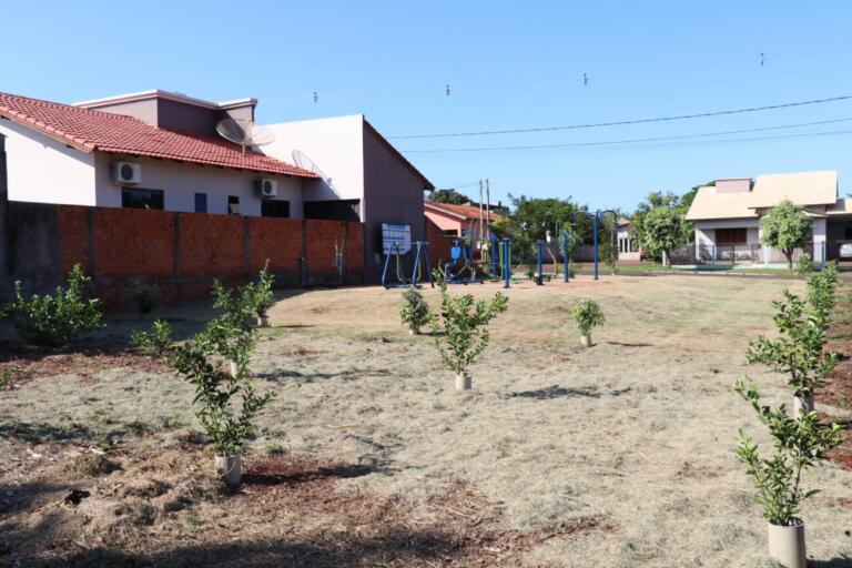 Secretaria de Obras de Pato Bragado investe no plantio de mudas frutíferas e exóticas