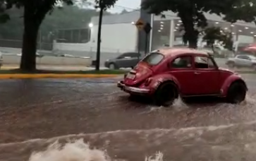 Dono do Fusca levado pela enxurrada em Marechal Rondon explica o que de fato aconteceu; entenda