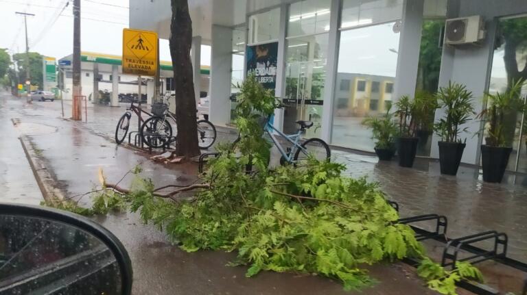 Verão se despede com chuvarada em Marechal Rondon; há condições para temporais até amanhã