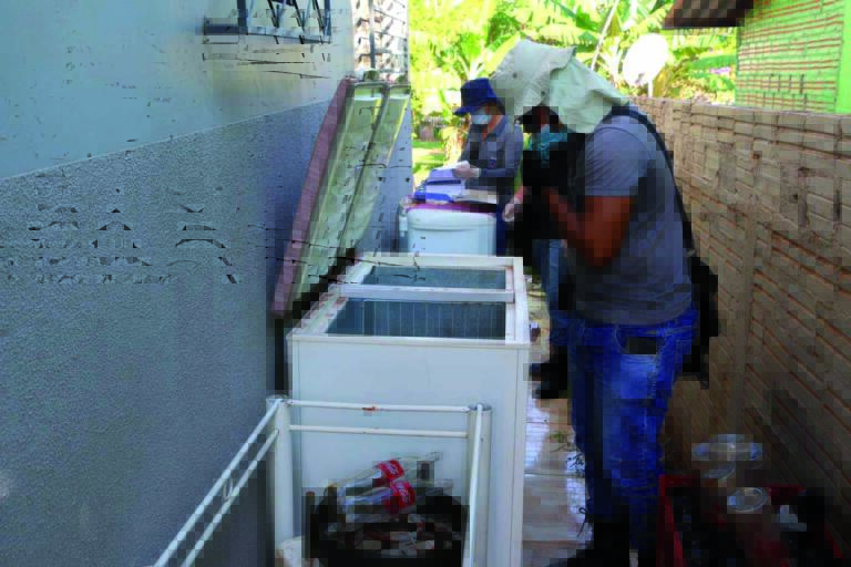 Dengue gera alerta na 20ª Regional: Nova Santa Rosa e Santa Helena lideram no número de casos