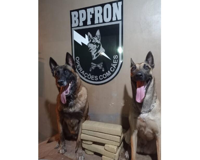 BPFron apreende droga durante abordagem a ônibus; entorpecente é encaminhado à delegacia rondonense