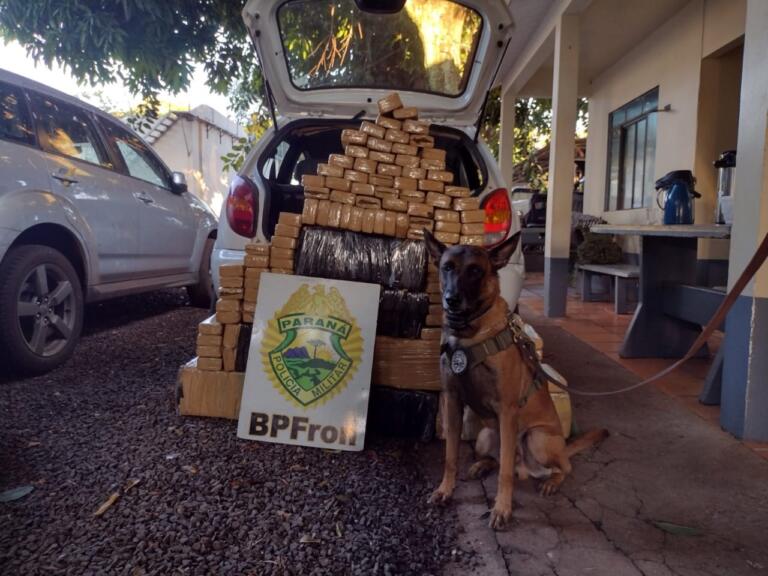 BPFron apreende mais de 200 quilos de maconha após identificar batedor da carga em Santa Helena