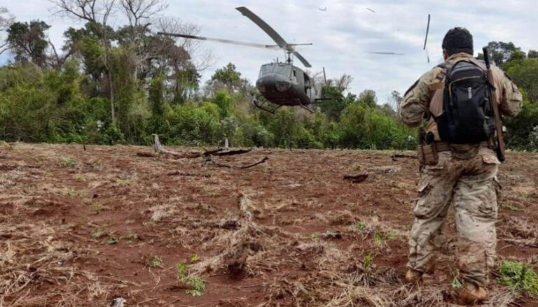 Forças de segurança do Paraguai e Brasil destruíram 397 toneladas maconha em cinco dias