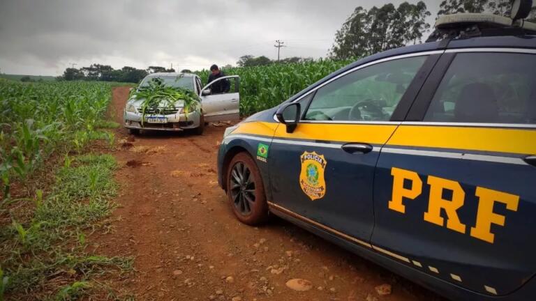 Condutor de Gol carregado com contrabando “arremessa” carro em meio à plantação para fugir da PRF